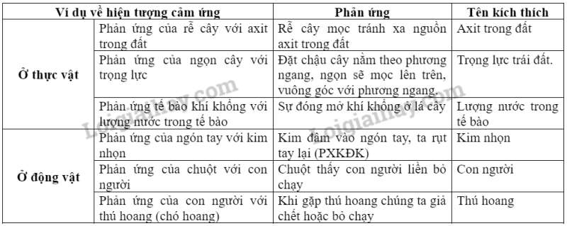 Khoa học tự nhiên 7 Bài 33: Cảm ứng ở sinh vật và tập tính ở động vật | KHTN 7 Kết nối tri thức (ảnh 5)