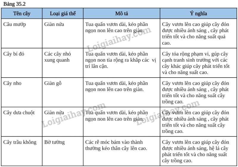 Khoa học tự nhiên 7 Bài 35: Thực hành: Cảm ứng ở sinh vật | KHTN 7 Kết nối tri thức (ảnh 5)