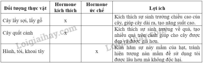 Khoa học tự nhiên 7 Bài 37: Ứng dụng sinh trưởng và phát triển ở sinh vật vào thực tiễn | KHTN 7 Kết nối tri thức (ảnh 5)