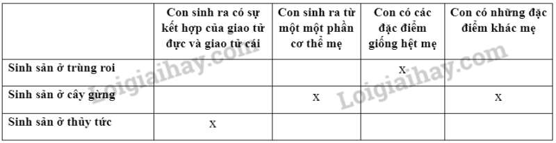 Khoa học tự nhiên 7 Bài 39: Sinh sản vô tính ở sinh vật | KHTN 7 Kết nối tri thức (ảnh 5)