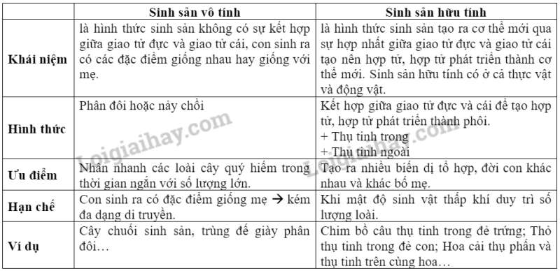 Khoa học tự nhiên 7 Bài 40: Sinh sản hữu tính ở sinh vật | KHTN 7 Kết nối tri thức (ảnh 5)