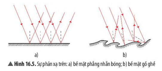 Khoa học tự nhiên 7 Bài 16: Sự phản xạ ánh sáng | KHTN 7 Chân trời sáng tạo (ảnh 5)