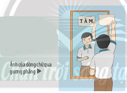 Khoa học tự nhiên 7 Bài 17: Ảnh của vật tạo bởi gương phẳng | KHTN 7 Chân trời sáng tạo (ảnh 5)