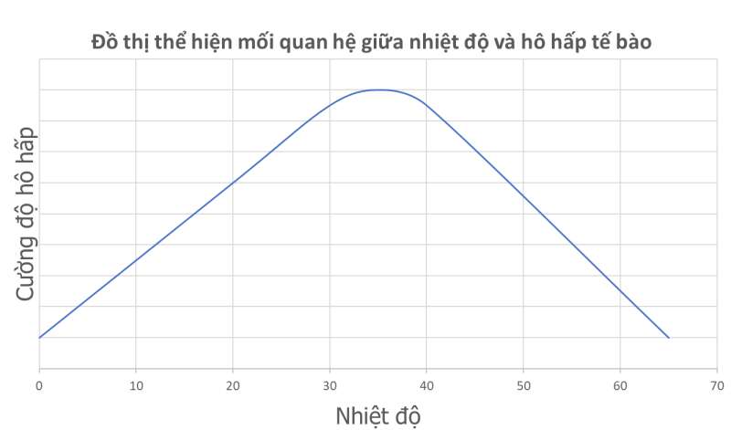 Khoa học tự nhiên 7 Bài 25: Hô hấp tế bào | KHTN 7 Chân trời sáng tạo (ảnh 5)