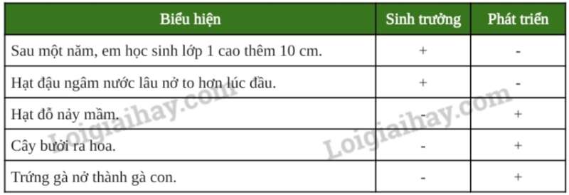 Khoa học tự nhiên 7 Bài 34: Sinh trưởng và phát triển ở sinh vật | KHTN 7 Chân trời sáng tạo (ảnh 5)