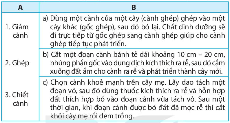 Sách bài tập Công nghệ 7 Bài 5: Nhân giống vô tính cây trồng - Kết nối tri thức (ảnh 1)