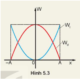 Giải SGK Vật lí 11 Bài 5 (Kết nối tri thức): Động năng. Thế năng. Sự chuyển hóa năng lượng trong dao động điều hòa (ảnh 1)