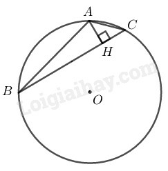 SBT Toán 9 Bài 8: Đường tròn ngoại tiếp. Đường tròn nội tiếp | Giải SBT Toán lớp 9 (ảnh 7)