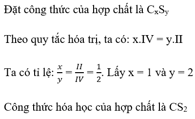 Khoa học tự nhiên 7 Bài tập Chủ đề 3 trang 46 | KHTN 7 Cánh diều (ảnh 7)