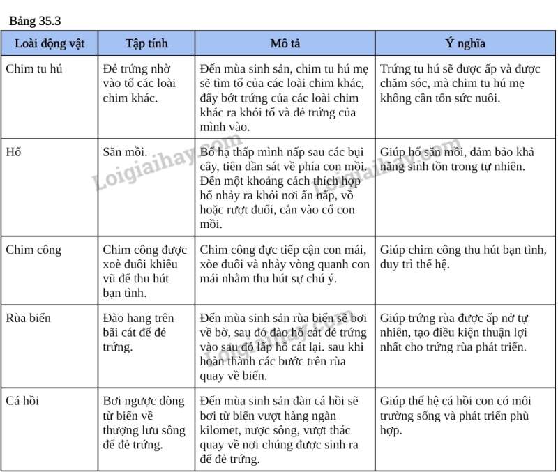 Khoa học tự nhiên 7 Bài 35: Thực hành: Cảm ứng ở sinh vật | KHTN 7 Kết nối tri thức (ảnh 6)