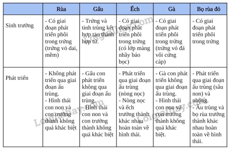 Khoa học tự nhiên 7 Bài 38: Thực hành: quan sát, mô tả sự sinh trưởng và phát triển ở một số loài sinh vật | KHTN 7 Kết nối tri thức (ảnh 6)