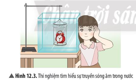 Khoa học tự nhiên 7 Bài 12: Mô tả sóng âm | KHTN 7 Chân trời sáng tạo (ảnh 6)