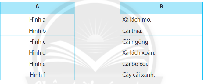 Sách bài tập Công nghệ 7 Bài 5: Trồng và chăm sóc cây cải xanh - Chân trời sáng tạo (ảnh 1)