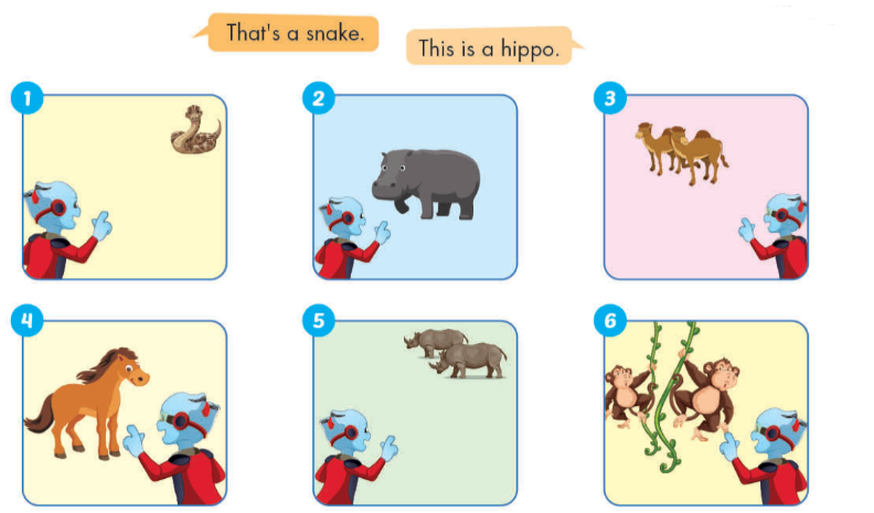 Giải SGK Tiếng Anh lớp 4 Unit 1: Animals | iLearn Smart Start (ảnh 8)