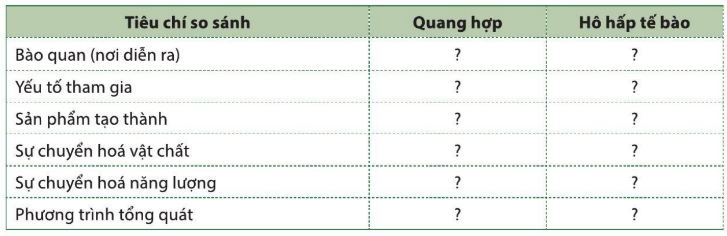 Khoa học tự nhiên 7 Bài tập chủ đề 8 trang 128 | KHTN 7 Cánh diều (ảnh 7)