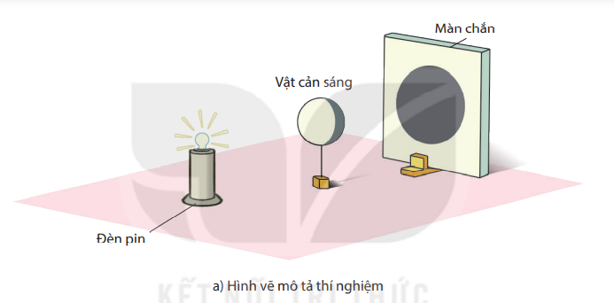 Khoa học tự nhiên 7 Bài 15: Năng lượng ánh sáng. Tia sáng, vùng tối | KHTN 7 Kết nối tri thức (ảnh 7)