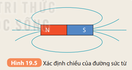 Khoa học tự nhiên 7 Bài 19: Từ trường | KHTN 7 Kết nối tri thức (ảnh 7)