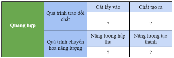 Khoa học tự nhiên 7 Bài 23: Quang hợp ở thực vật | KHTN 7 Chân trời sáng tạo (ảnh 7)