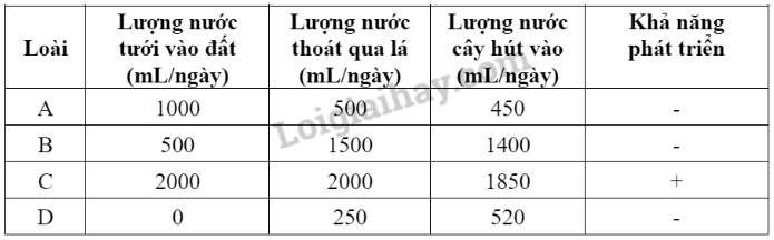 Khoa học tự nhiên 7 Bài 29: Trao đổi nước và các dinh dưỡng ở thực vật | KHTN 7 Chân trời sáng tạo (ảnh 8)