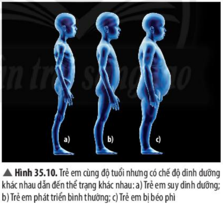 Khoa học tự nhiên 7 Bài 35: Các nhân tố ảnh hưởng đến sinh trưởng và phát triển ở sinh vật | KHTN 7 Chân trời sáng tạo (ảnh 7)