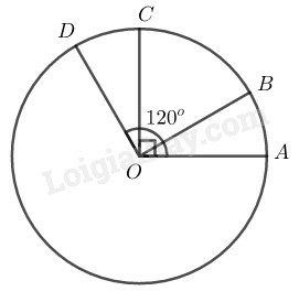 SBT Toán 9 Bài 1: Góc ở tâm. Số đo cung | Giải SBT Toán lớp 9 (ảnh 11)