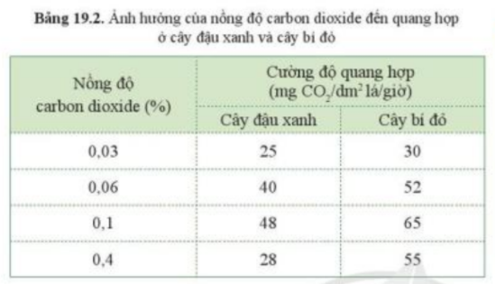 Khoa học tự nhiên 7 Bài 19: Các yếu tố ảnh hưởng đến quang hợp | KHTN 7 Cánh diều (ảnh 9)