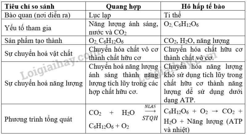 Khoa học tự nhiên 7 Bài tập chủ đề 8 trang 128 | KHTN 7 Cánh diều (ảnh 8)