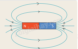 Khoa học tự nhiên 7 Bài 19: Từ trường | KHTN 7 Kết nối tri thức (ảnh 8)