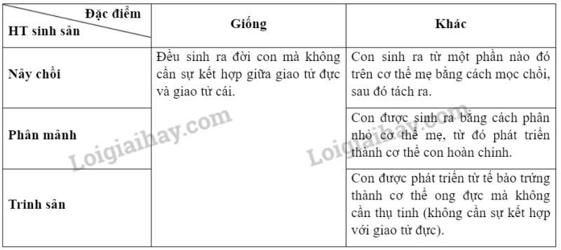 Khoa học tự nhiên 7 Bài 39: Sinh sản vô tính ở sinh vật | KHTN 7 Kết nối tri thức (ảnh 8)