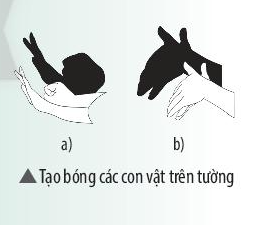 Khoa học tự nhiên 7 Bài 15: Ánh sáng, tia sáng | KHTN 7 Chân trời sáng tạo (ảnh 9)