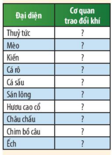 Khoa học tự nhiên 7 Bài 18: Nam châm | KHTN 7 Chân trời sáng tạo (ảnh 8)