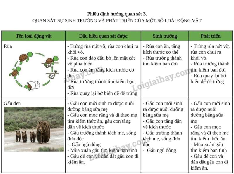 Khoa học tự nhiên 7 Bài 36: Thực hành chứng minh sinh trưởng và phát triển ở thực vật, động vật | KHTN 7 Chân trời sáng tạo (ảnh 8)