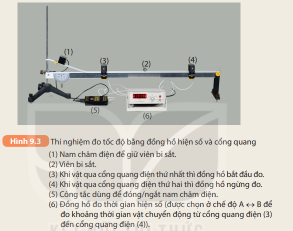  (ảnh 1)