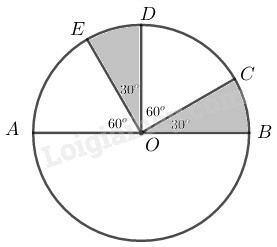 SBT Toán 9 Bài 1: Góc ở tâm. Số đo cung | Giải SBT Toán lớp 9 (ảnh 12)