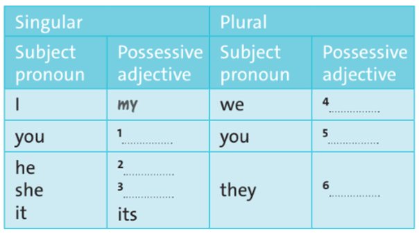 Tiếng Anh lớp 6 Starter unit: Language focus trang 7 | Friends plus (Chân trời sáng tạo)