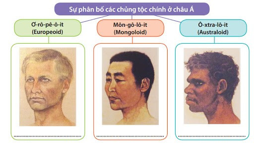 Lý thuyết Địa Lí 7 Bài 6: Dân cư và xã hội châu Á - Chân trời sáng tạo (ảnh 1)