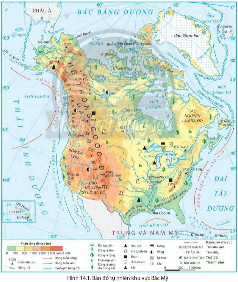 Địa Lí 7 Bài 14: Thiên nhiên và dân cư, xã hội Bắc Mỹ | Chân trời sáng tạo (ảnh 3)