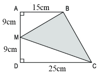 Luyện tập về tính diện tích 5.pdf (ảnh 2)