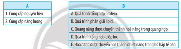 SBT Khoa học tự nhiên 7 Bài 22: Vai trò của trao đổi chất và chuyển hóa năng lượng ở sinh vật - Chân trời sáng tạo (ảnh 1)