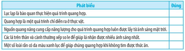 SBT Khoa học tự nhiên 7 Bài 23: Quang hợp ở thực vật - Chân trời sáng tạo (ảnh 1)