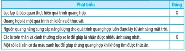 SBT Khoa học tự nhiên 7 Bài 23: Quang hợp ở thực vật - Chân trời sáng tạo (ảnh 1)