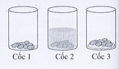 SBT Khoa học tự nhiên 7 Bài 22: Các yếu tố ảnh hưởng đến hô hấp tế bào - Cánh diều (ảnh 1)