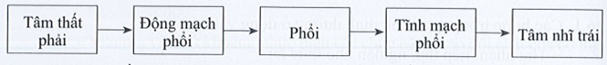 SBT Khoa học tự nhiên 7 Bài 26: Trao đổi nước và các chất dinh dưỡng ở động vật - Cánh diều (ảnh 1)