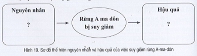 Sách bài tập Địa lí 7 Bài 19: Thực hành: Tìm hiểu vấn đề khai thác, sử dụng và bảo vệ thiên nhiên ở rừng A-ma-dôn - Cánh diều (ảnh 1)