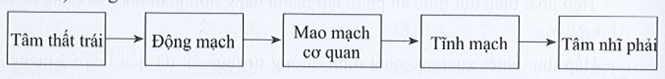 SBT Khoa học tự nhiên 7 Bài 26: Trao đổi nước và các chất dinh dưỡng ở động vật - Cánh diều (ảnh 1)