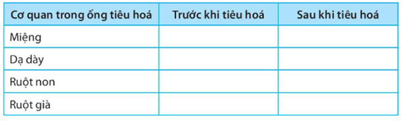 SBT Khoa học tự nhiên 7 Bài 31: Trao đổi nước và chất dinh dưỡng ở động vật - Kết nối tri thức (ảnh 1)