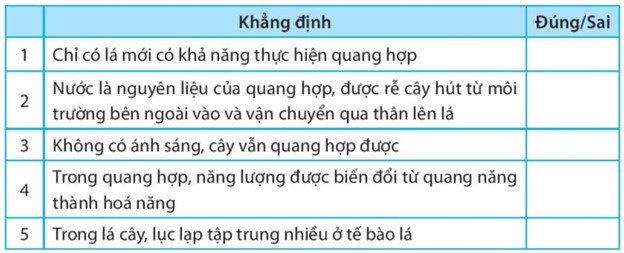 SBT Khoa học tự nhiên 7 Bài 22: Quang hợp ở thực vật - Kết nối tri thức (ảnh 1)