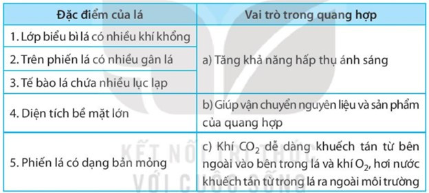 SBT Khoa học tự nhiên 7 Bài 22: Quang hợp ở thực vật - Kết nối tri thức (ảnh 1)