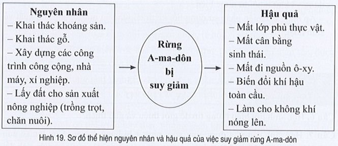 Sách bài tập Địa lí 7 Bài 19: Thực hành: Tìm hiểu vấn đề khai thác, sử dụng và bảo vệ thiên nhiên ở rừng A-ma-dôn - Cánh diều (ảnh 1)