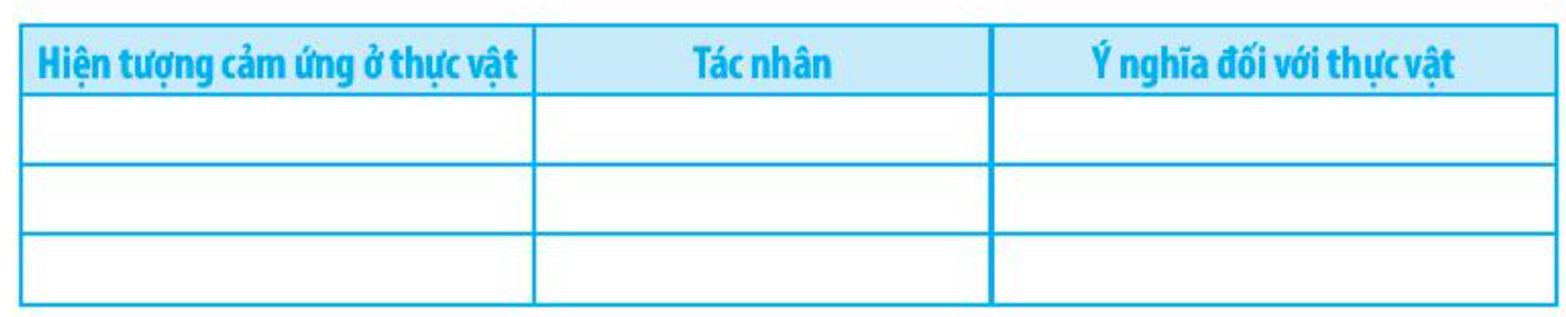 SBT Khoa học tự nhiên 7 Bài 32: Cảm ứng ở sinh vật - Chân trời sáng tạo (ảnh 1)